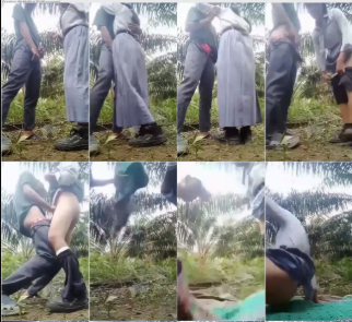 Video Viral 2025 The Warmth Of Love Indo Viral Video Abg Seragam Bolos Sekolah Demi Merasakan Tarikan Nafas di Kebun Sawit Top Global Wikwik Hijab Inara
